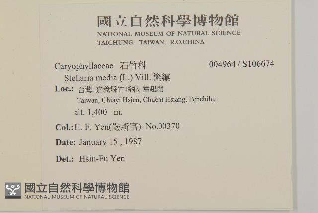 繁縷藏品圖，第2張