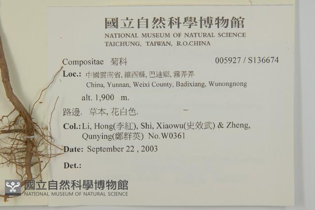 登錄號:S136674藏品圖，第2張