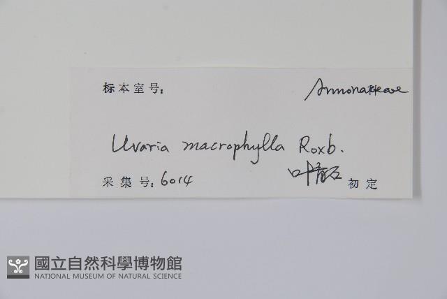 登錄號:S102674藏品圖，第2張