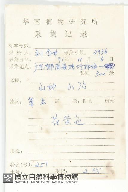 卵葉菜欒藤藏品圖，第2張