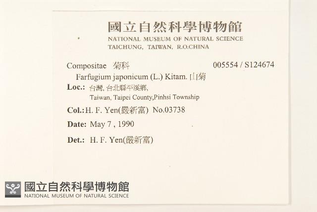 山菊藏品圖，第2張