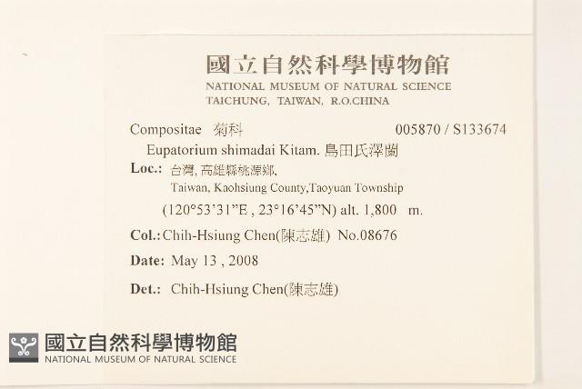 島田氏澤蘭藏品圖，第2張