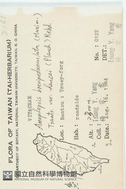 馬交兒藏品圖，第2張