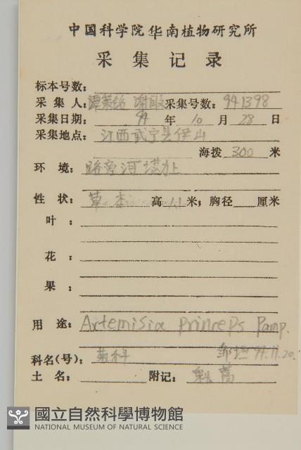 魁蒿藏品圖，第2張