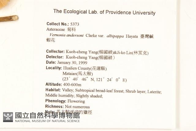 過山龍藏品圖，第2張