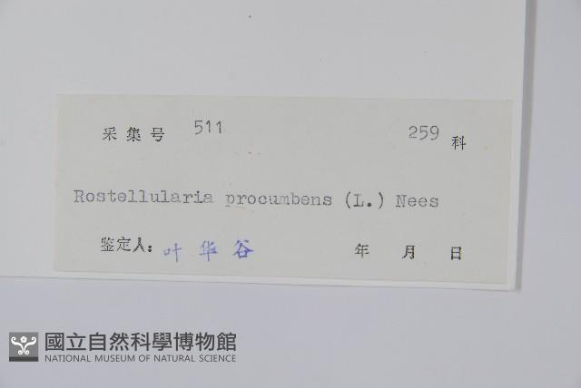 爵床、六角英藏品圖，第2張