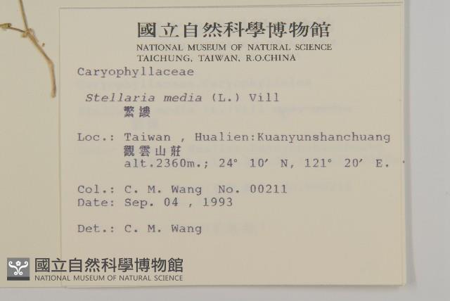 繁縷藏品圖，第2張