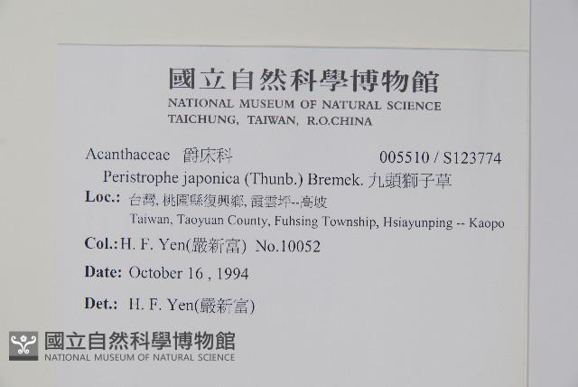 九頭獅子草藏品圖，第2張