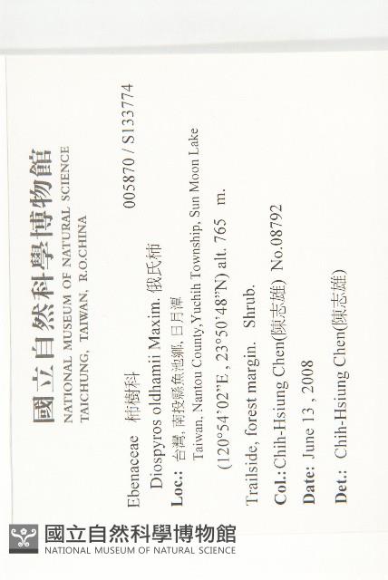 俄氏柿藏品圖，第2張