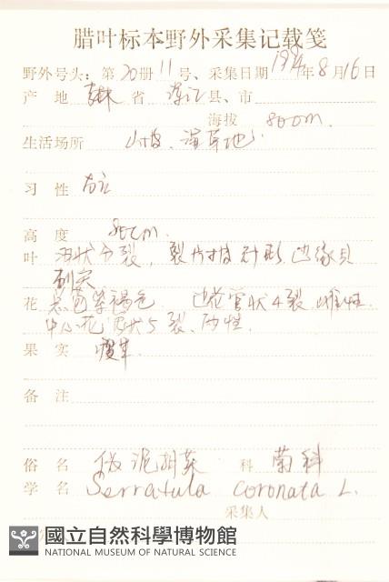 偽泥胡菜藏品圖，第2張