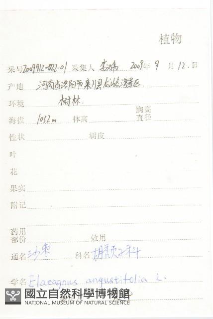 銀柳藏品圖，第2張