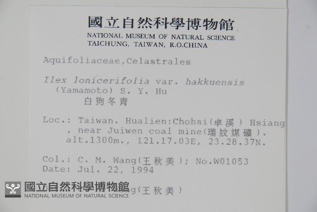 白狗山冬青藏品圖，第2張