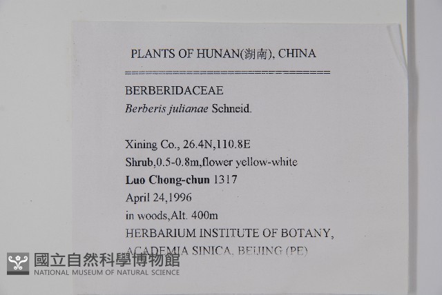 濠豬刺藏品圖，第2張