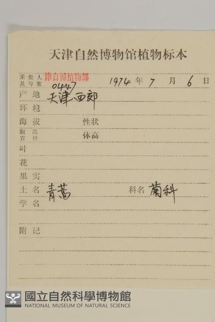 青蒿藏品圖，第2張