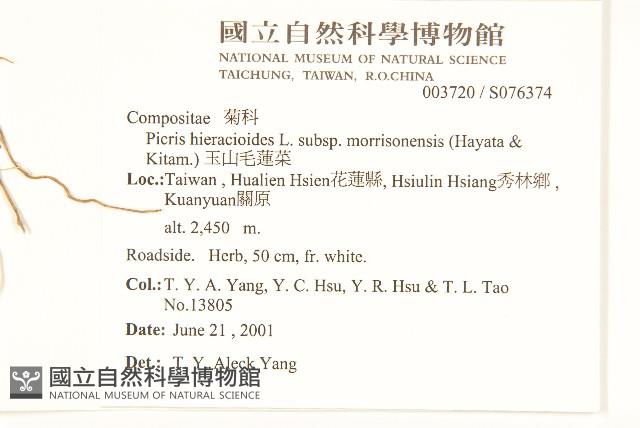 玉山毛蓮菜藏品圖，第2張