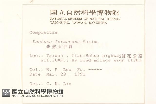 臺灣山苦苣藏品圖，第2張