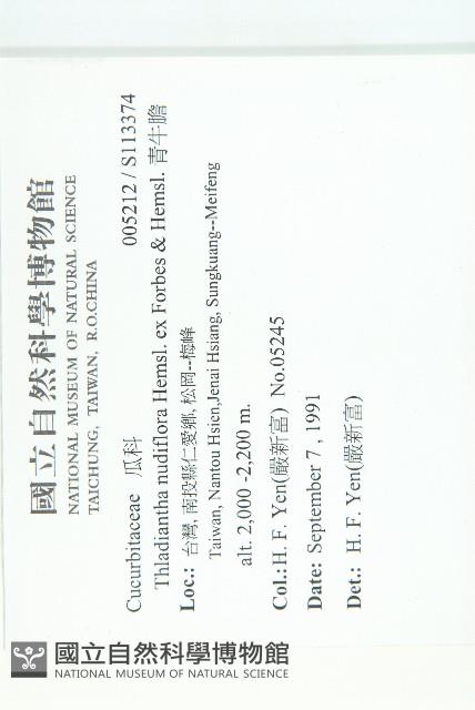 青牛膽藏品圖，第2張