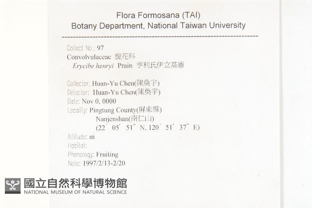 亨利氏伊立基藤藏品圖，第2張