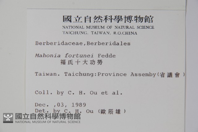細葉十大功勞藏品圖，第2張