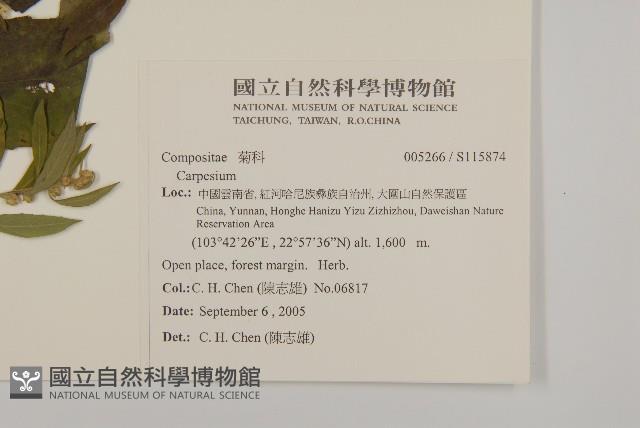 登錄號:S115874藏品圖，第2張