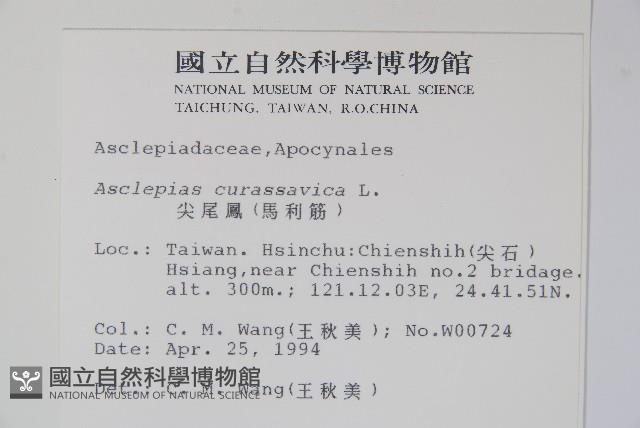 尖尾鳳、馬利筋藏品圖，第2張