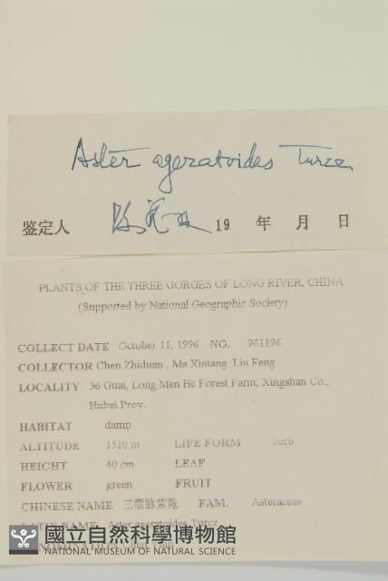 山白蘭藏品圖，第2張