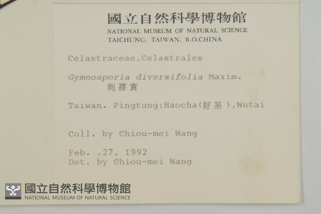 刺裸實、變葉裸實藏品圖，第2張