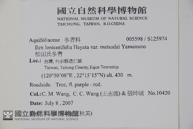 松田氏冬青藏品圖，第2張