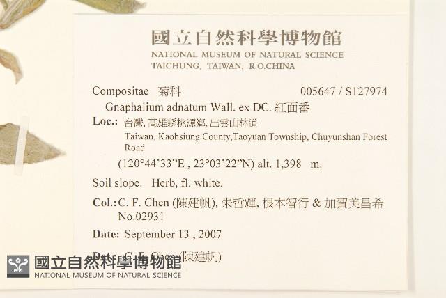 紅面番藏品圖，第2張