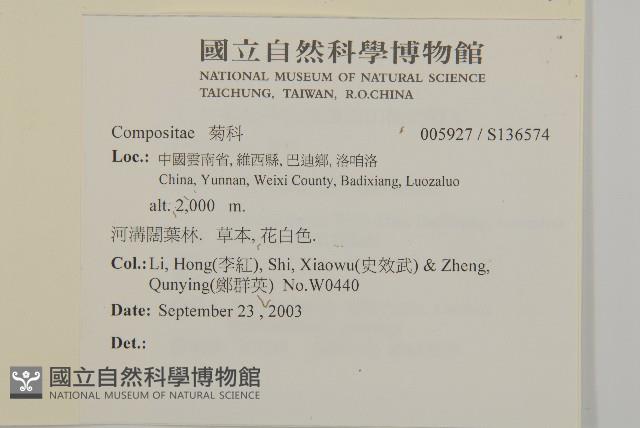 登錄號:S136574藏品圖，第2張