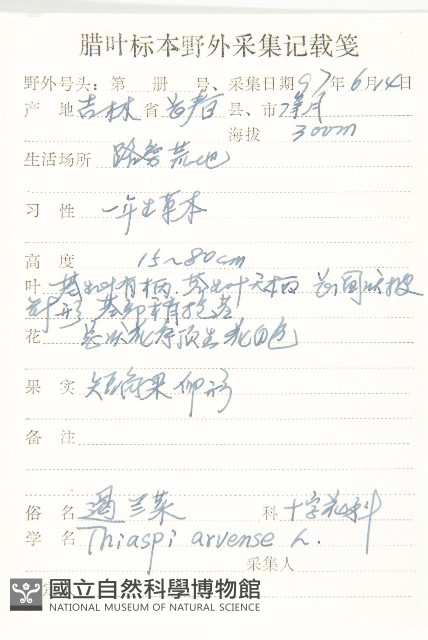 凹果菥蓂、遏藍菜藏品圖，第2張