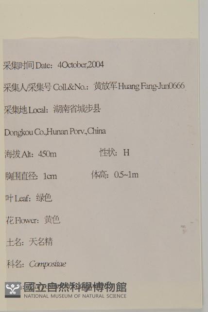 天名精藏品圖，第2張