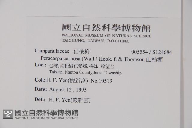 山桔梗藏品圖，第2張