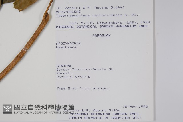 登錄號:S054684藏品圖，第2張