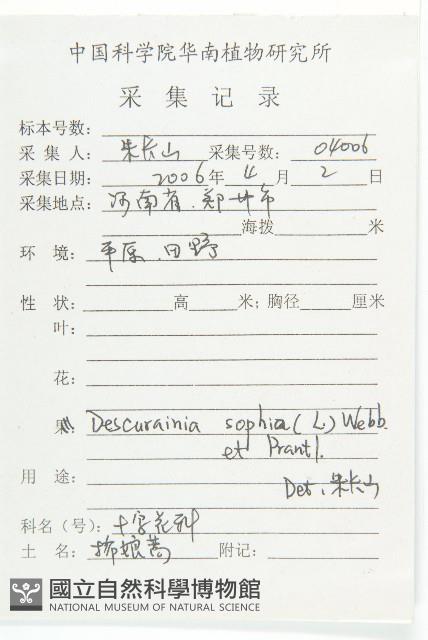 播娘蒿藏品圖，第2張