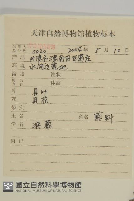 濱藜藏品圖，第2張