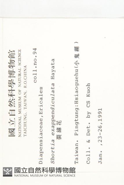 裂緣花藏品圖，第2張