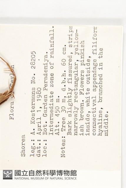 登錄號:S047084藏品圖，第2張