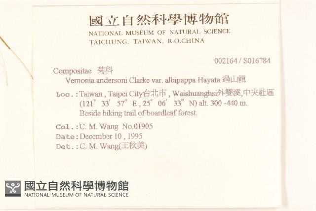 過山龍藏品圖，第2張