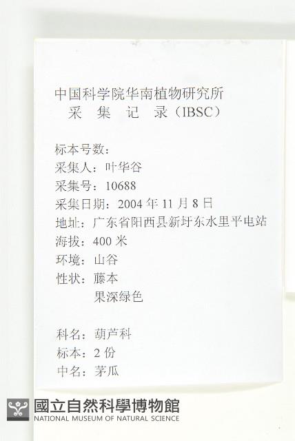 茅瓜藏品圖，第2張