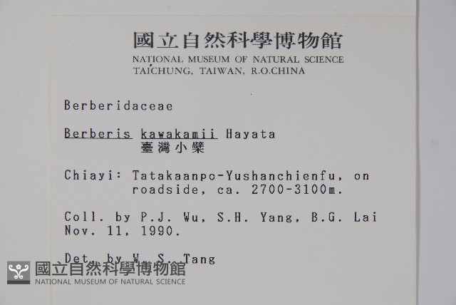 臺灣小蘗藏品圖，第2張