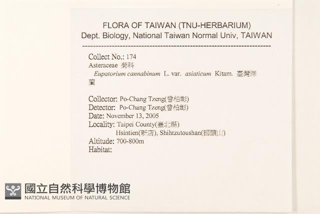 台灣澤蘭藏品圖，第2張