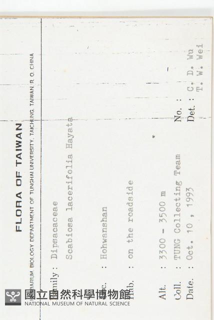 玉山山蘿蔔藏品圖，第2張