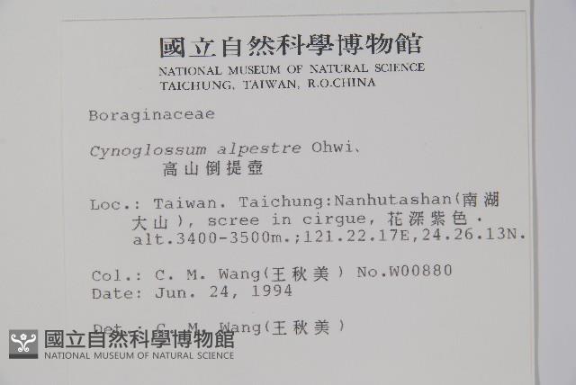 高山倒提壺藏品圖，第2張