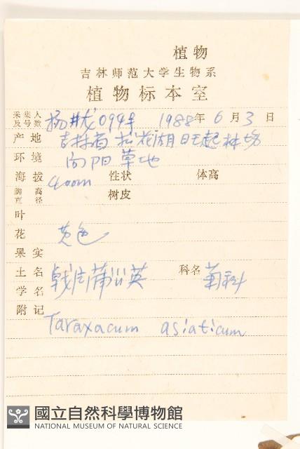 亞洲蒲公英藏品圖，第2張