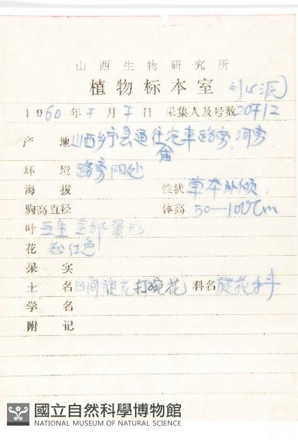 田旋花藏品圖，第2張