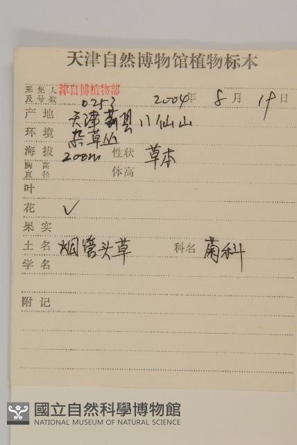 杓兒菜藏品圖，第2張