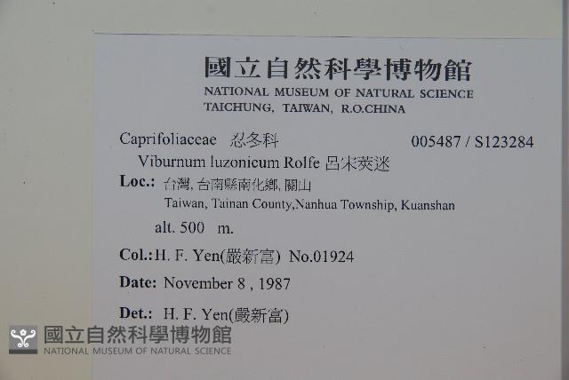 呂宋莢迷藏品圖，第2張