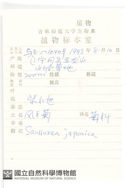 鳳毛菊藏品圖，第2張