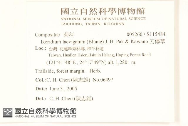 刀傷草藏品圖，第2張